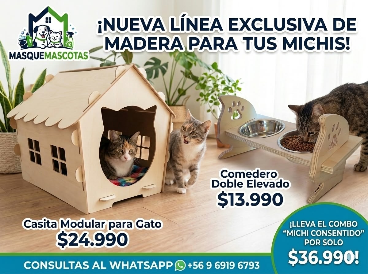 Nueva línea exclusiva de madera para gatos: casita modular, comedero doble elevado y combo Michi Consentido. Consultas por WhatsApp.
